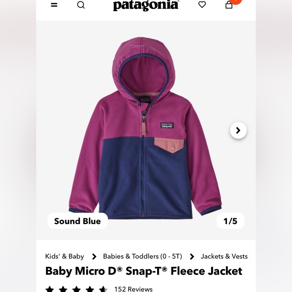 Patagonia fleece